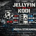 Why I Ditched Kodi for Jellyfin for My Media Playback
