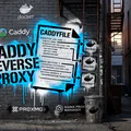 NPM to Caddy: Reverse Proxy Dozens of Containers