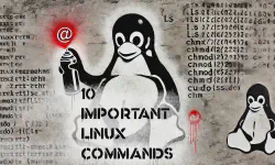 Featured image of post Master the Basics - The 10 Most Important Linux Commands and How to Use Them