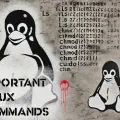 Master the Basics - The 10 Most Important Linux Commands and How to Use Them