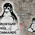 Master the Basics - The 10 Most Important Linux Commands and How to Use Them