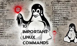 Featured image of post Master the Basics - The 10 Most Important Linux Commands and How to Use Them