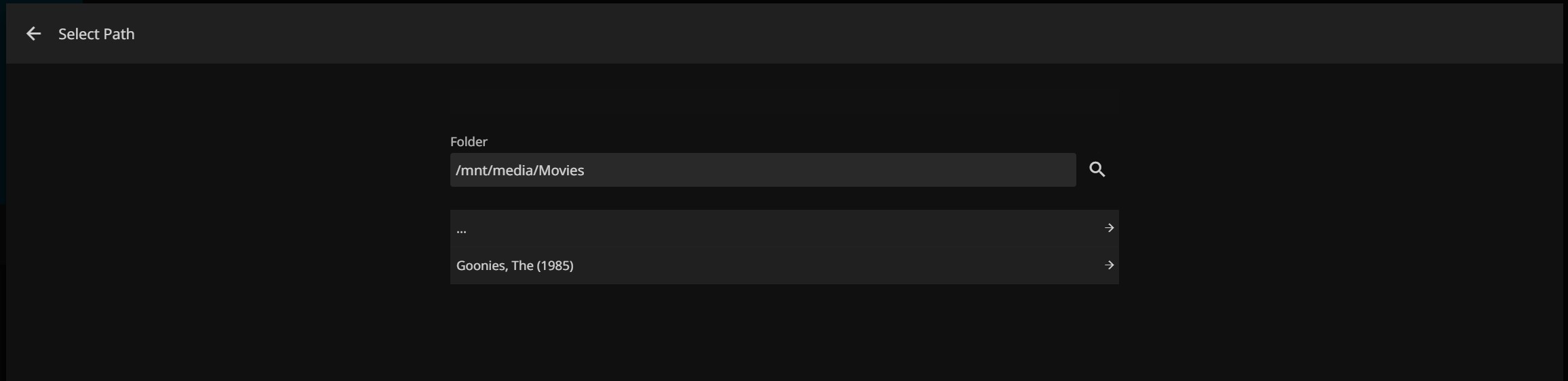 Jellyfin Library Path Screen